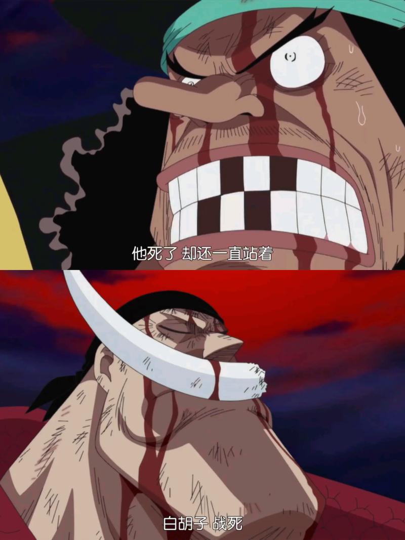 海贼王565_海贼王565集在线观看_海贼王56是什么意思