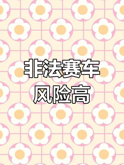 非法赛车犯法吗_马路英雄ii非法赛车_非法赛车叫什么