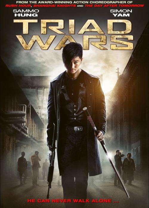 夺帅 粤语 夺帅：港产动作片余晖下，领略粤语影视文化独特魅力