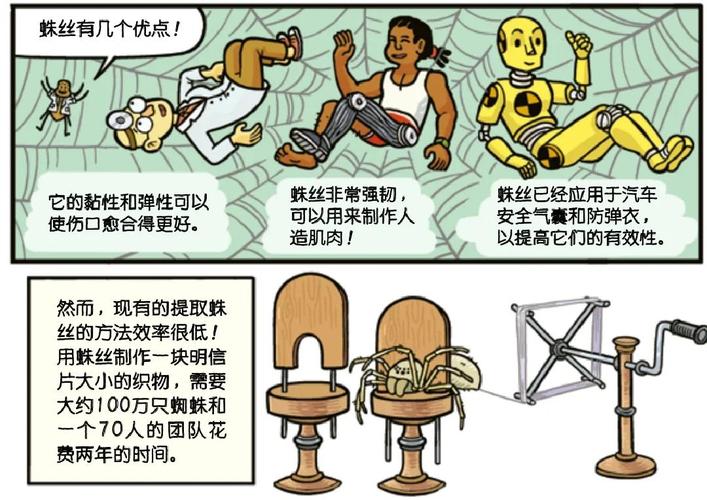 灵网蜘蛛丝_灵网蜘蛛丝贵吗_蜘蛛丝百度百科