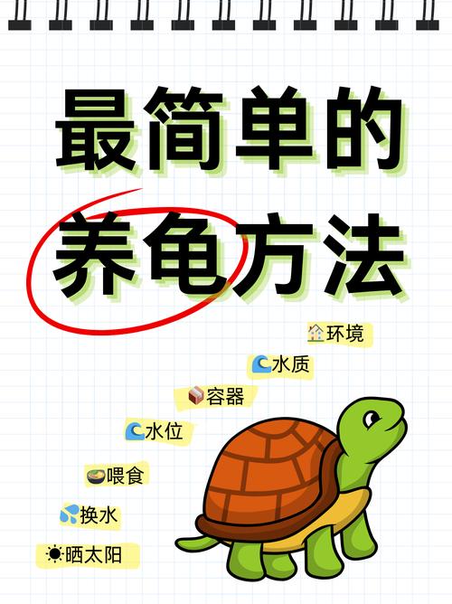 灵龟交流论坛_灵龟之家两爬论坛_灵龟之家论坛自由市场