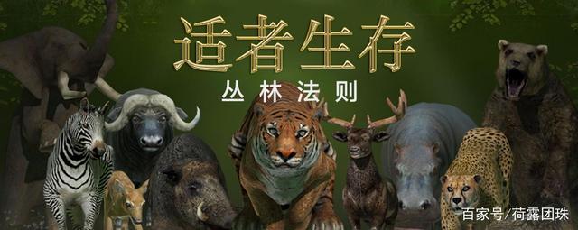 穿越男兽国_穿越男兽国男主干净吗_穿越男兽国这个好看