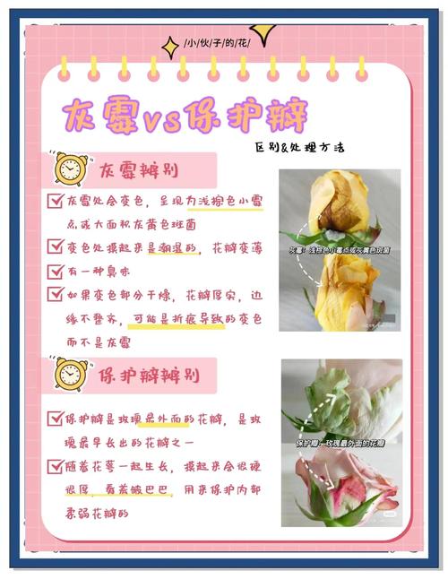 植物大战害虫_大战害虫植物有哪些_大战害虫植物图片