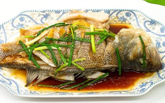 幽灵鱼的学名_幽灵鱼的图片大全_幽灵鱼怎么做