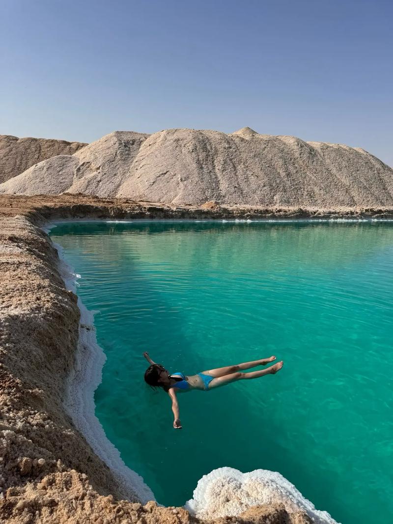 死海最低海拔_死海海拔为什么最低_死海多深海拔最低的海沟