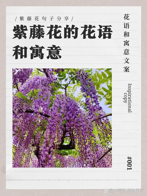 花藤名字制作器_花藤名字_花藤名字大全