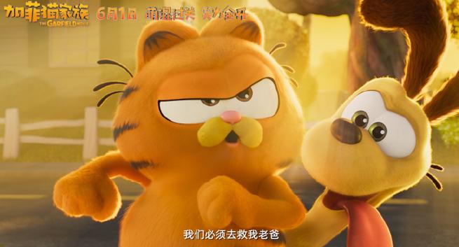 加菲猫电影简介_加菲猫电影是什么猫_加菲猫电影