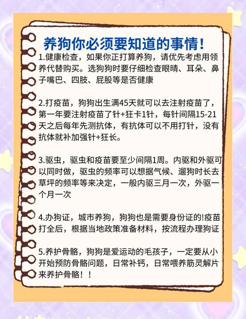 电子狗狗图片_什么电子狗好_有什么比较好用的电子狗软件