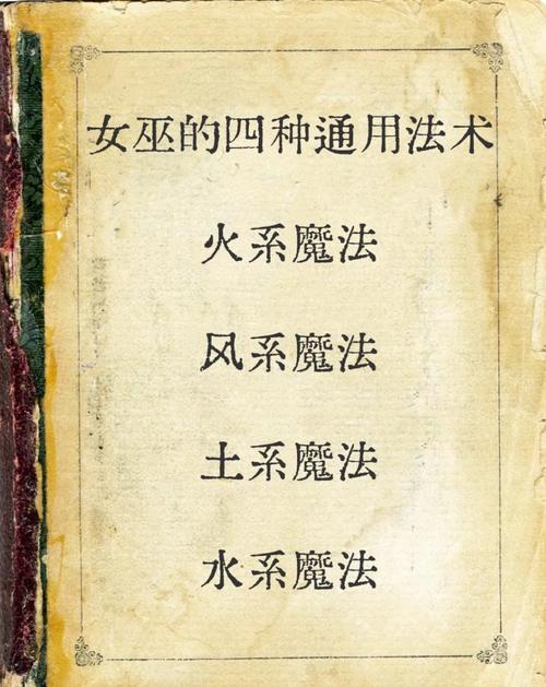 魔法王国twins_王国女巫有什么用_魔法王国巫女