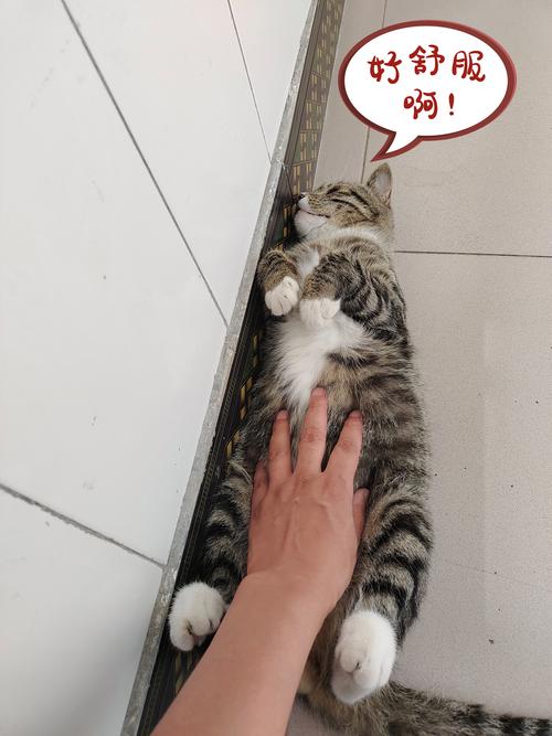 张永歆三级_张永歆个人资料_张永歆无马赛克