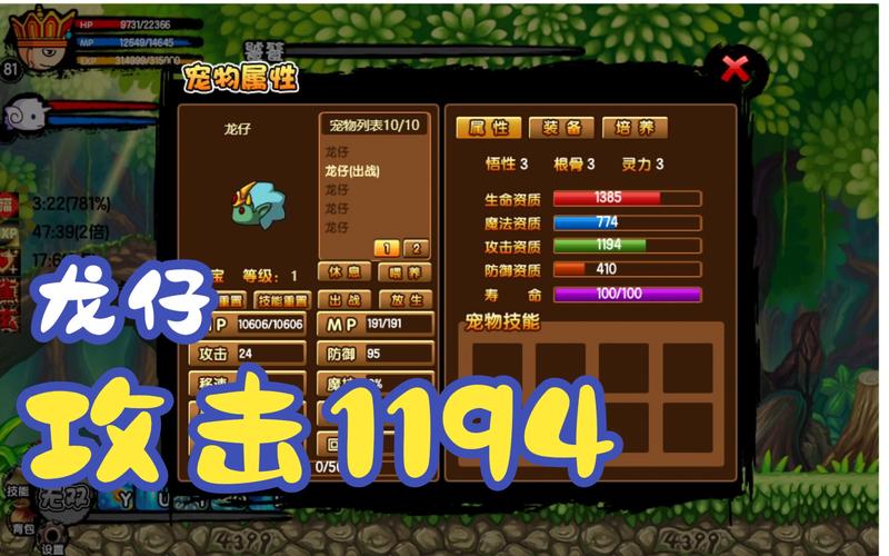 宠物刷技能造梦西游_造梦西游怎么抓宝宝_造梦西游3咋抓宠物