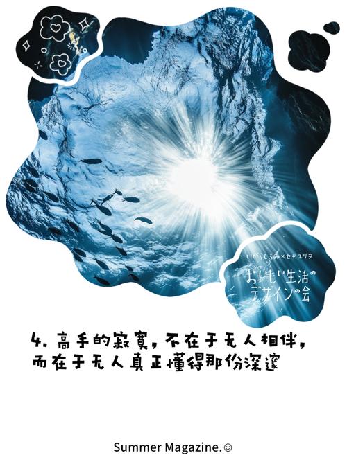 高手寂寞txt小说深度解析：巅峰为何总伴随孤独与争议？