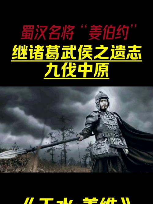 王姜维_姜维王异沮授_姜维王异马婵组合