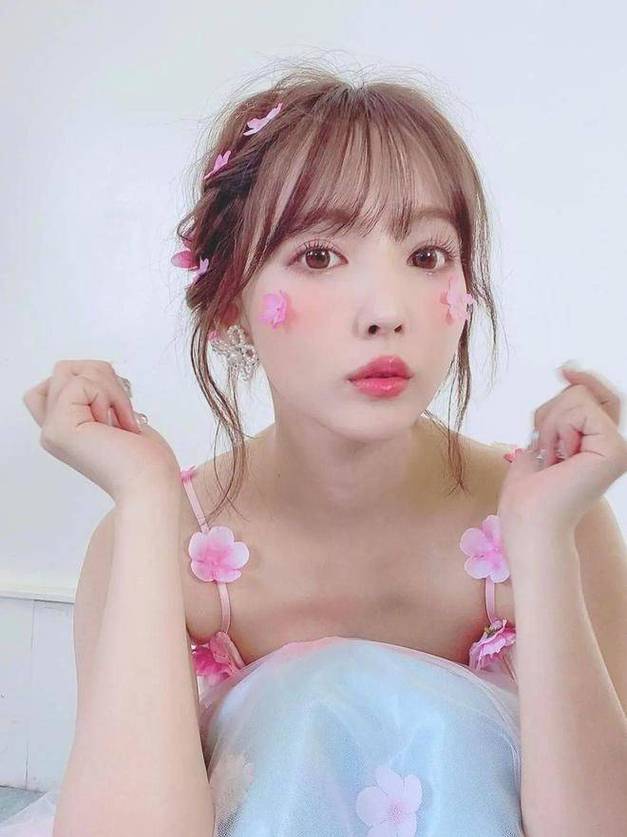 堀井雄二_堀井美月_井美渼简介