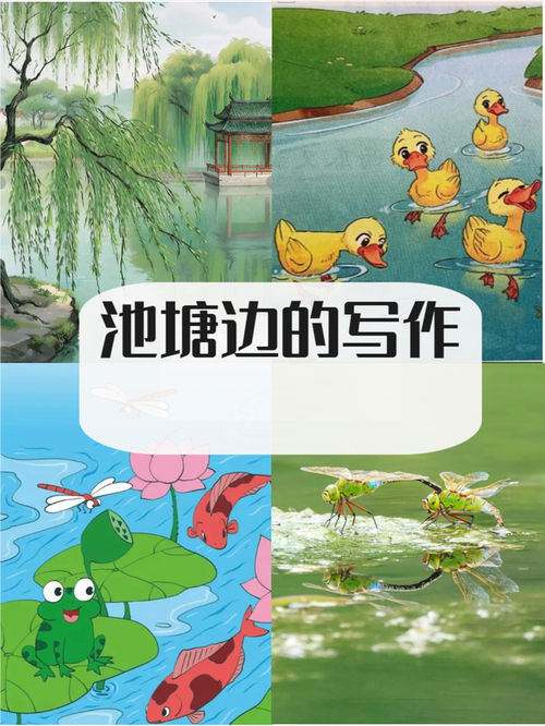 清露踏涟漪什么意思_小池塘清露踏涟漪_小池塘边踏涟漪