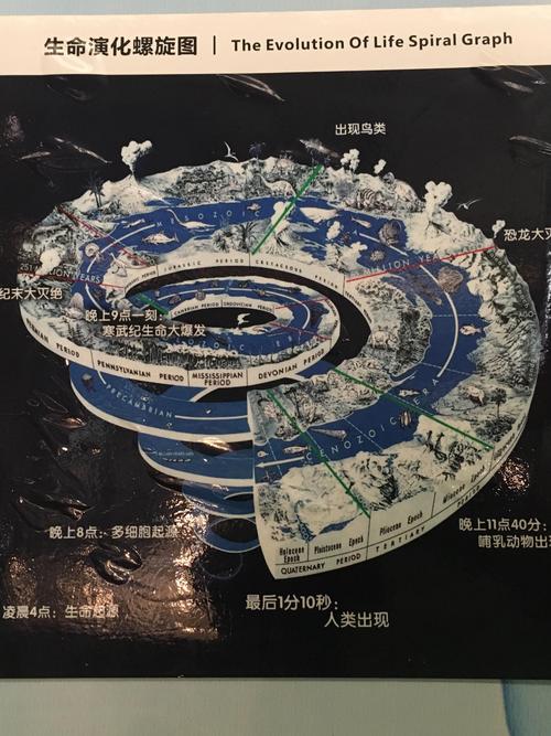 脉动时空_时空脉络_时空波动