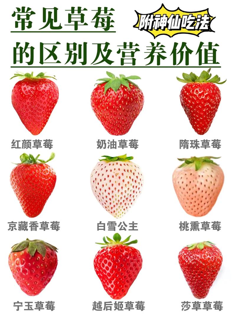 草莓一血王_王草莓_王草莓在哪里直播