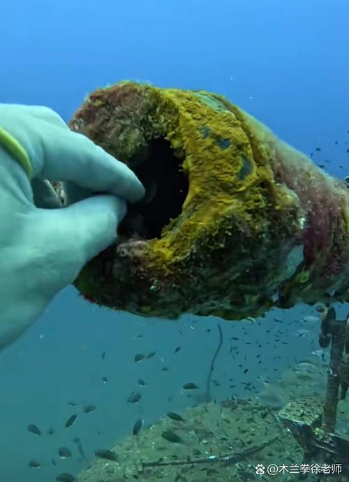 章鱼Ⅱ东河惊魂_章鱼东河惊魂_章鱼2东河惊魂