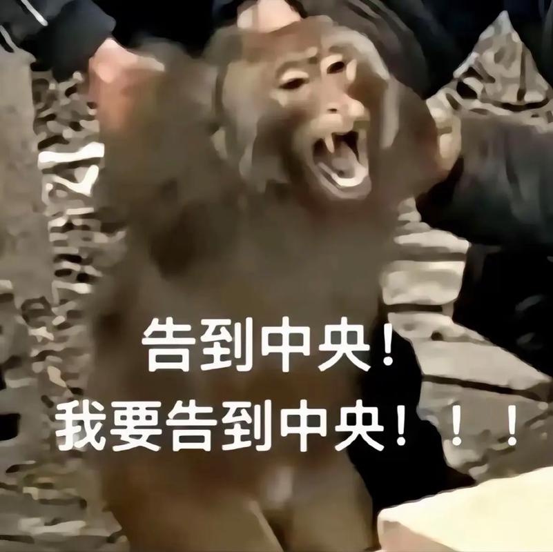 炎火猴_炎火猴_炎火猴