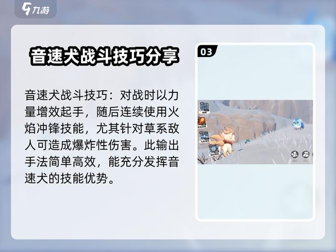 洛克王国音速犬技能怎么搭配？各技能作用及使用时机介绍