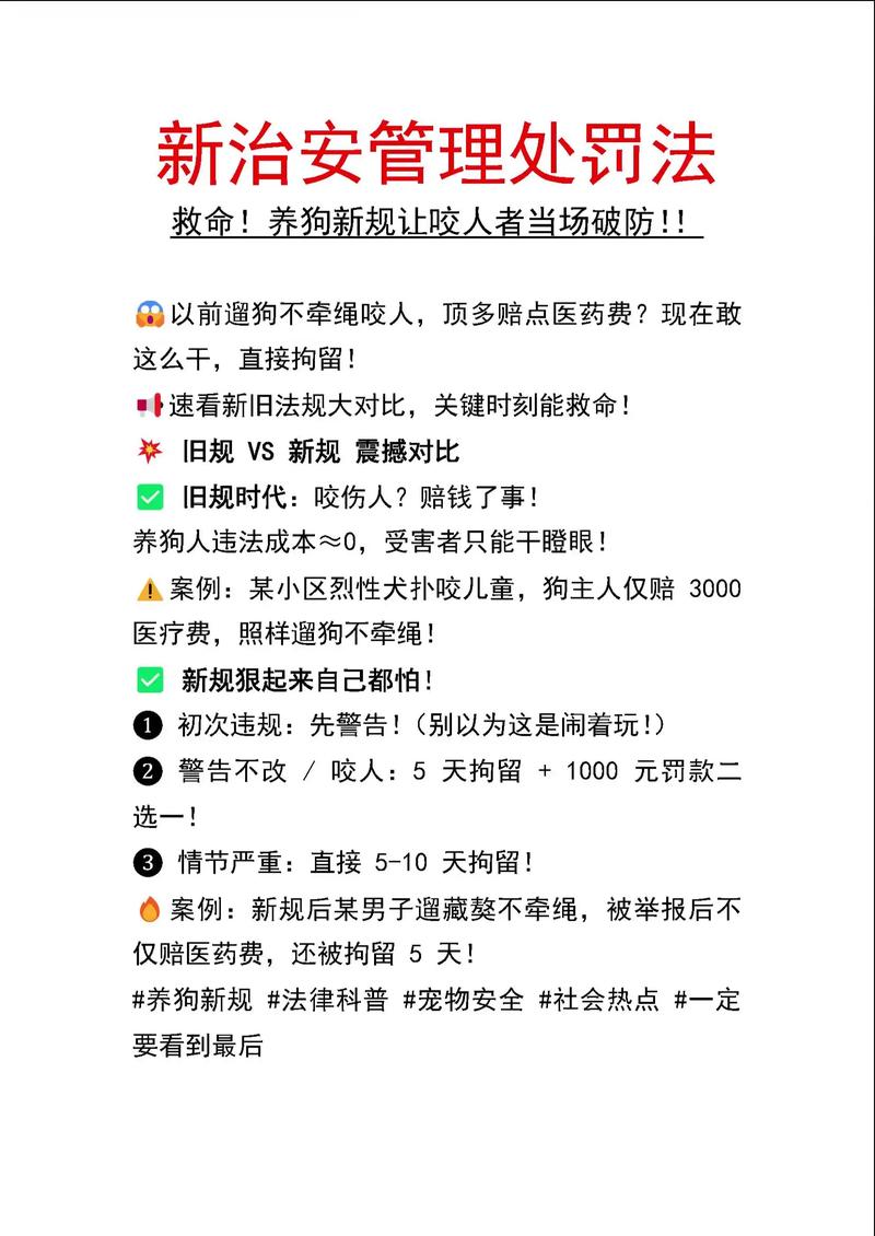 什么电子狗好_有什么比较好用的电子狗软件_电子狗狗图片