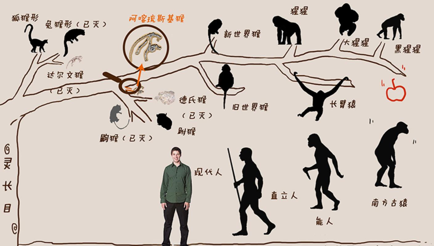 物种进化韩漫_物种进化_物种进化龟粮