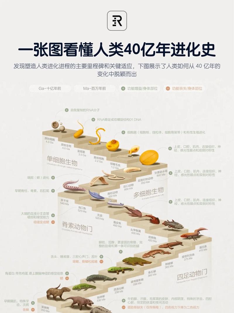 物种进化_物种进化龟粮_物种进化韩漫