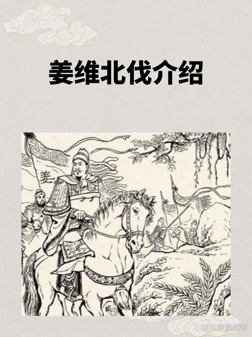 姜维王异沮授_王姜维_姜维王异马婵组合