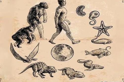 物种进化_物种进化韩漫_物种进化龟粮