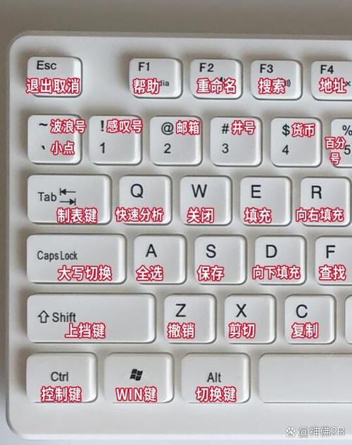 右箭头→怎么打出来_右箭头怎么打_箭头右边