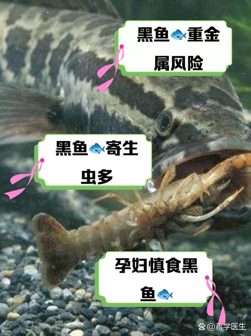 黑色海底_海底小黑_海底小黑鱼