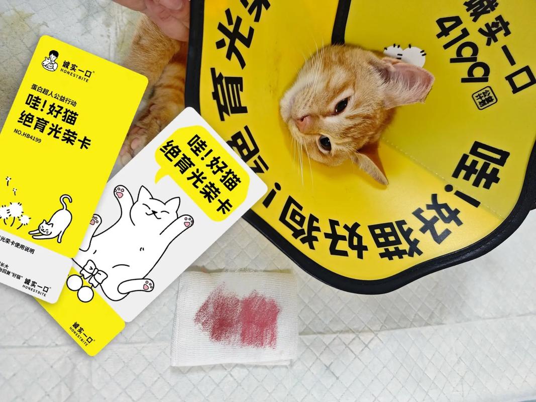 喵萌小筑兑换码_萌小喵_喵萌小剧场