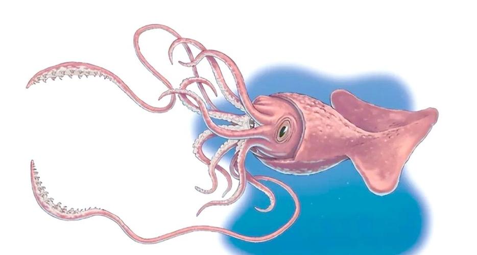 深海巨兽玛雅_深海巨兽小说_深海巨兽