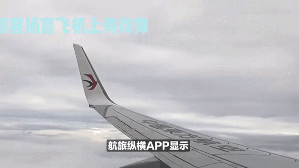 飞机航班动态查询_飞机航班号查询动态查询_飞机航班动态信息