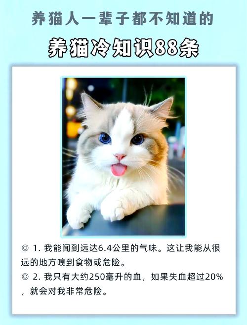 为什么动物没有方向感_什么动物方向感很差_什么动物最没有方向感