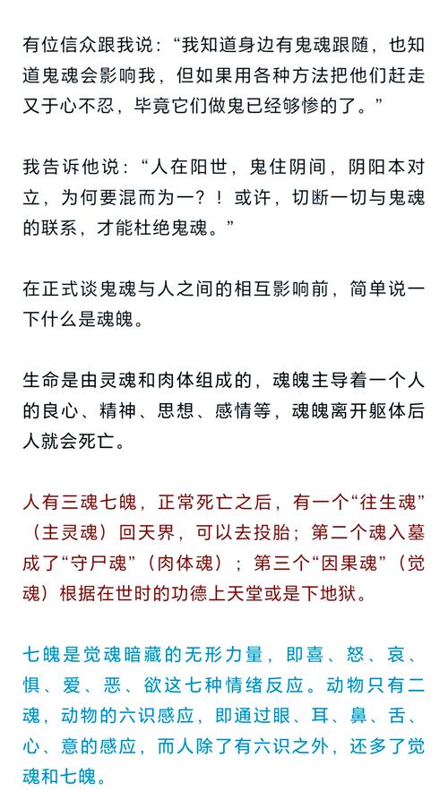 灵魂传说_灵魂传说之谜电影免费观看_灵魂传说之王者归来