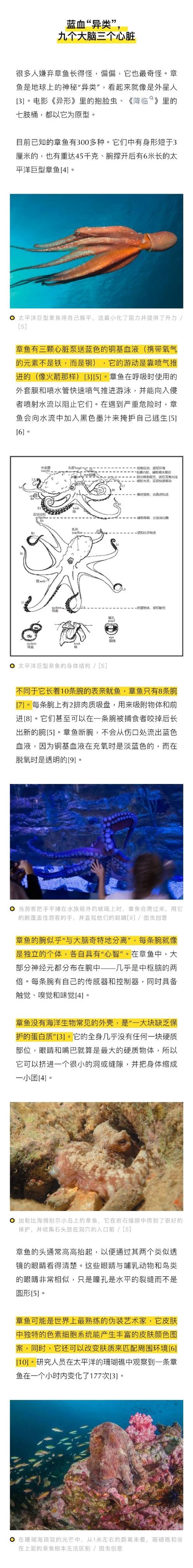 海底小黑_黑色海底_海底小黑鱼