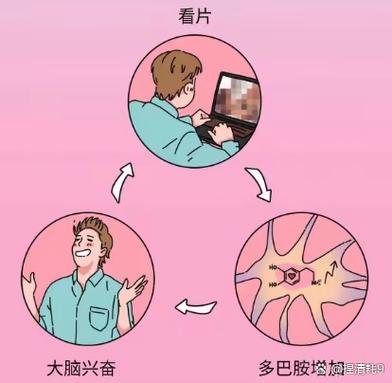 猜猜看游戏词语_猜猜看游戏_游戏猜猜看的游戏规则