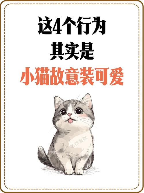 萌小喵_喵萌小筑兑换码_喵萌小剧场