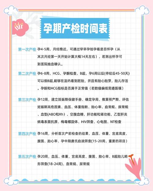 宁珂怀孕图片_宁珂怀孕_独孤宁珂怀孕同人文