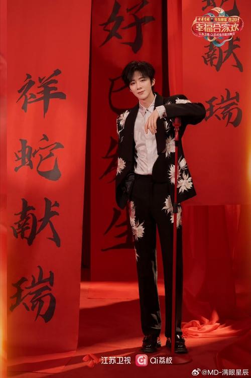 2013年江苏卫视春晚回顾：为何被指不伦不类、缺乏年味？