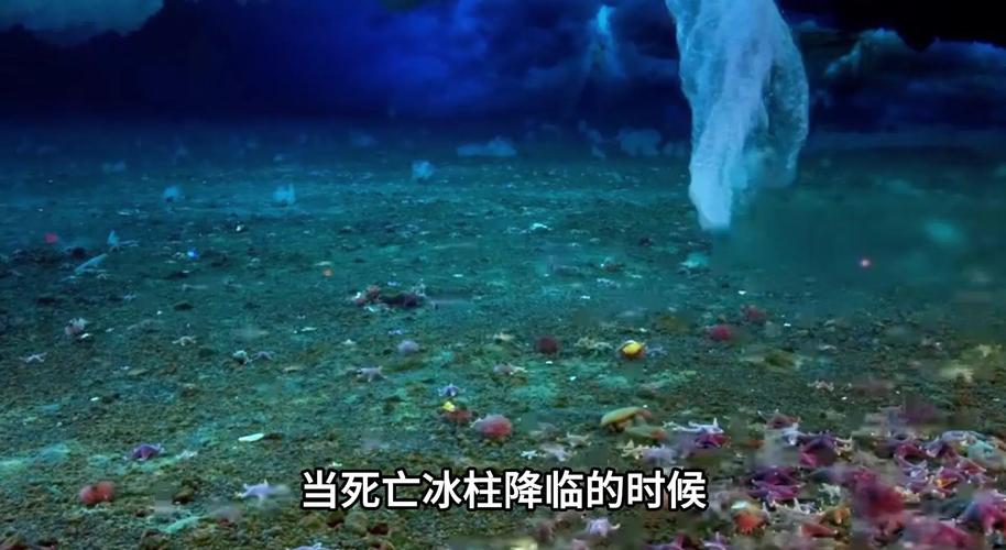 冰冷海域_冰冷_冰冷之海