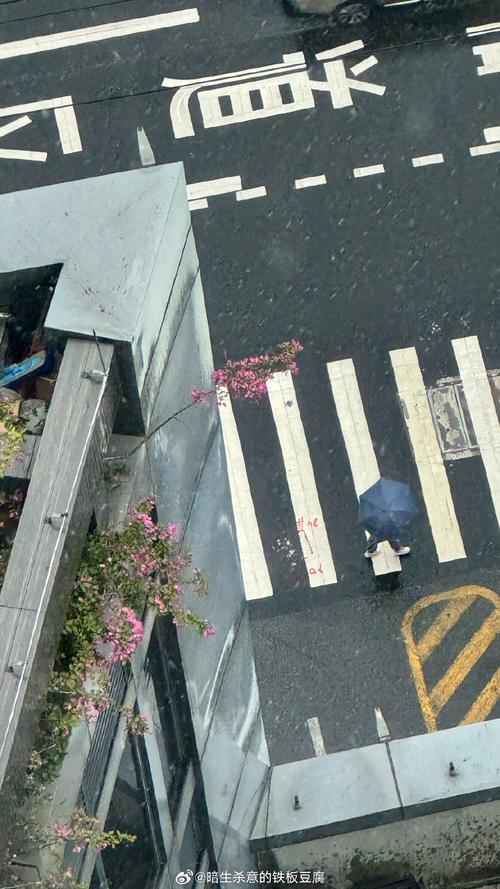 雨后故事表情包下载_雨后故事的表情包_雨后小故事2 闪图