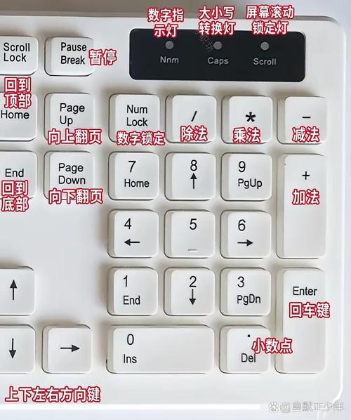 键盘精灵怎么用？揭秘一键搞定重复工作的神器技巧