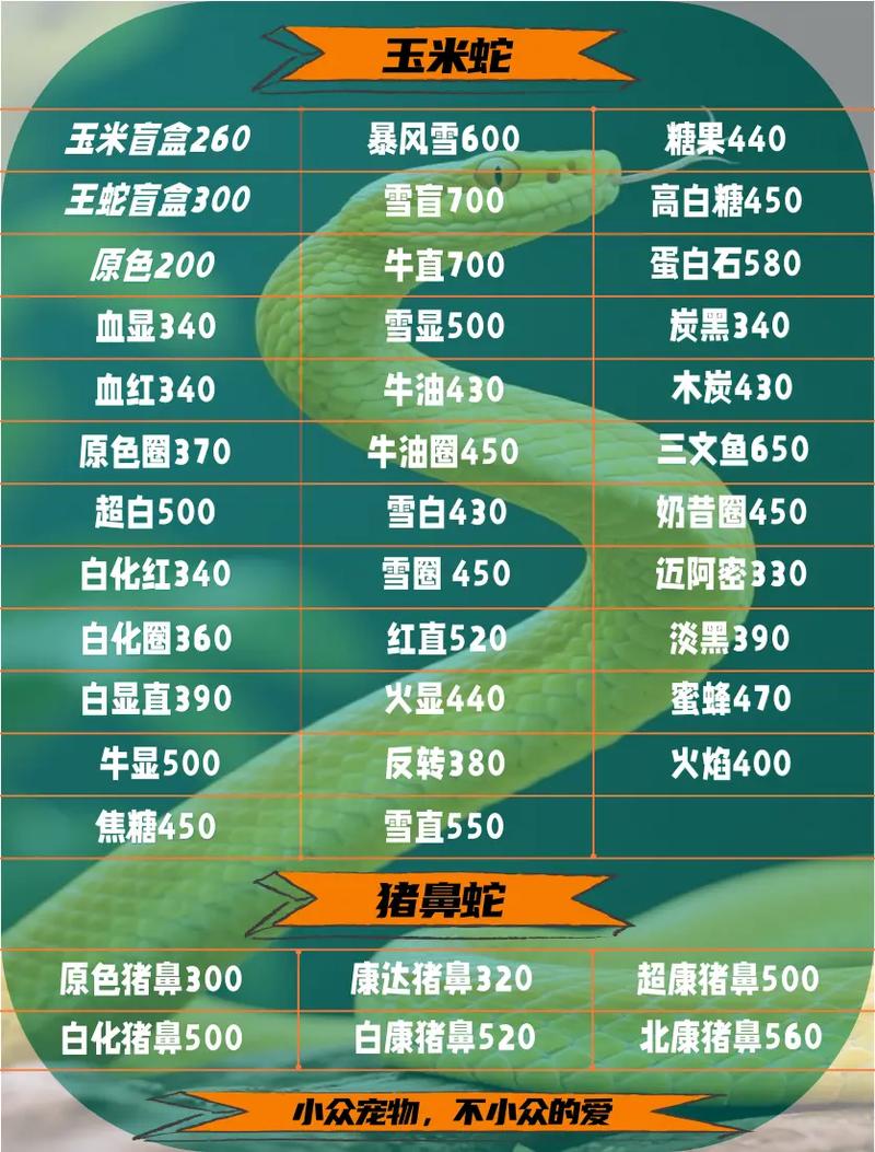 蝰蛇价格揭秘：宠物蝰蛇和角蝰一条多少钱？