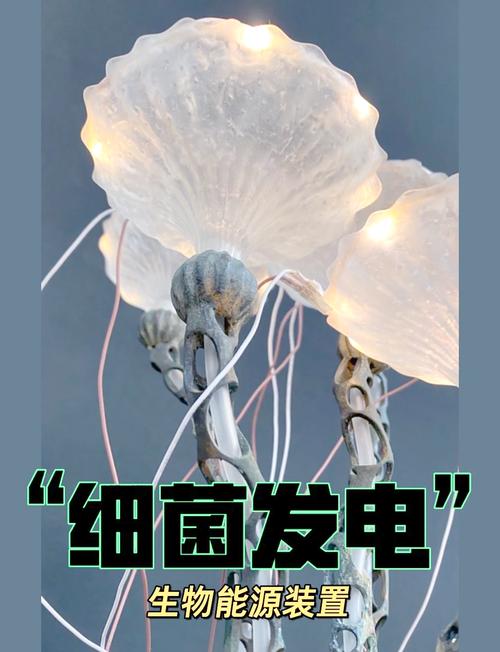 生物思维导图设计大赛_生物思维是什么_不思议微生物研究所