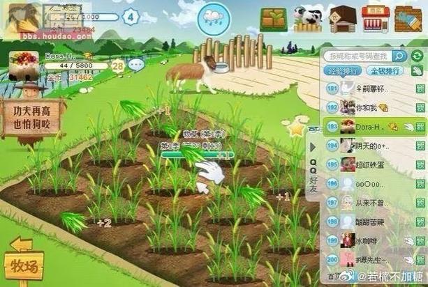 qq猪猪领养_有个领养小猪的app_宠物猪领养平台