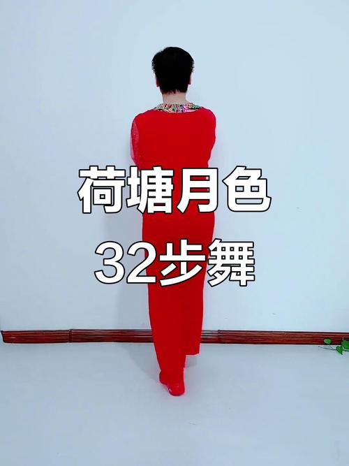动动广场舞荷塘月色_菏塘月色广场舞分解_荷塘月色广场舞简单易学