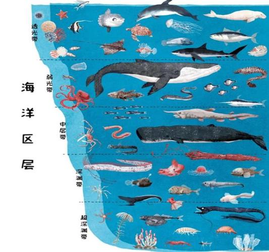 themarine_themarine_themarine