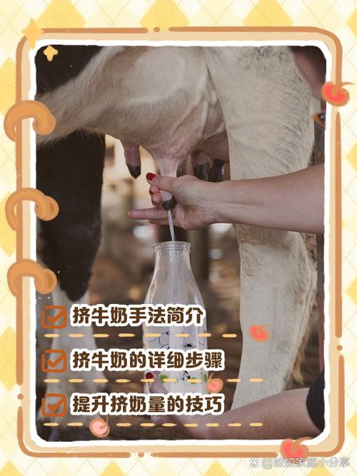 给美女挤奶_韩国美女挤奶_帮美女挤奶